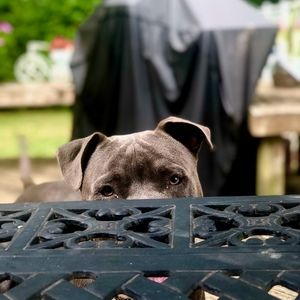 Meet your Posher, Jeanie
